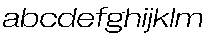 PPNeueCorp WideLightItalic Instance FONT
