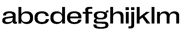 PPNeueCorp WideMedium Instance FONT
