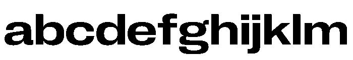 PPNeueCorp WideSemibold Instance FONT