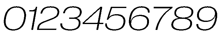 PPNeueCorp WideUltralightItalic Instance 73b472bb Font OTHER CHARS
