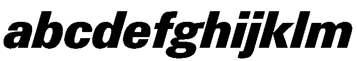 PPNeueGstaad CompactBlackItalic Instance FONT