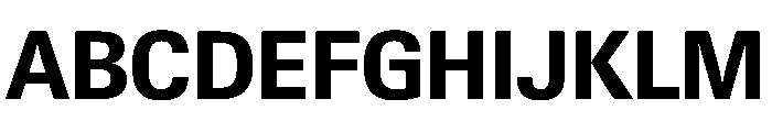 PPNeueGstaad CompactBold Instance Font UPPERCASE