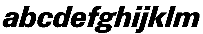 PPNeueGstaad CompactExtraboldItalic Instance FONT