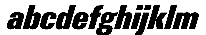 PPNeueGstaad CondensedBlackItalic Instance FONT