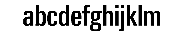 PPNeueGstaad CondensedMedium Instance FONT