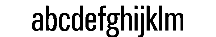 PPNeueGstaad CondensedRegular Instance FONT