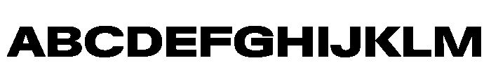 PPNeueGstaad ExpandedBlack Instance Font UPPERCASE