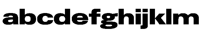 PPNeueGstaad ExpandedBlack Instance FONT