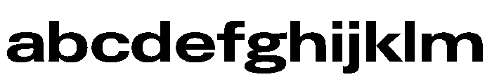 PPNeueGstaad ExpandedBold Instance FONT
