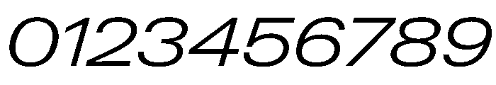 PPNeueGstaad ExpandedLightItalic Instance Font OTHER CHARS