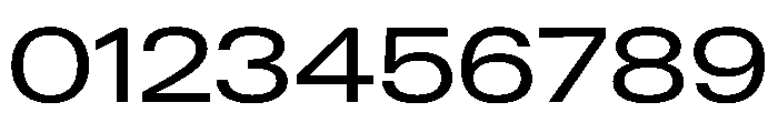 PPNeueGstaad ExpandedRegular Instance Font OTHER CHARS