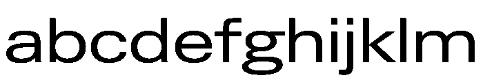 PPNeueGstaad ExpandedRegular Instance FONT