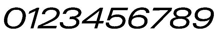 PPNeueGstaad ExpandedRegularItalic Instance Font OTHER CHARS