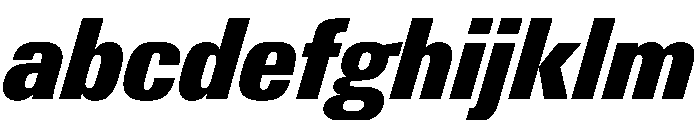 PPNeueGstaad NarrowBlackItalic Instance FONT