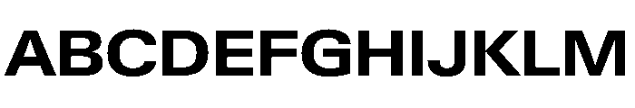 PPNeueGstaad WideBold Instance Font UPPERCASE