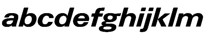 PPNeueGstaad WideBoldItalic Instance FONT