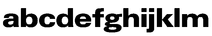 PPNeueGstaad WideExtrabold Instance FONT
