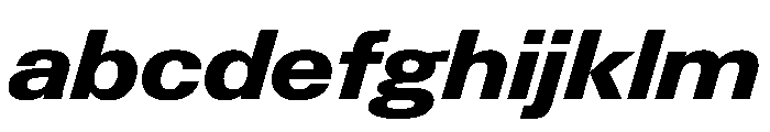 PPNeueGstaad WideExtraboldItalic Instance FONT