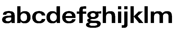 PPNeueGstaad WideSemibold Instance FONT