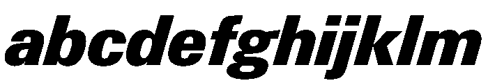 PPNeueGstaadCompact CompactBlackItalic Instance FONT