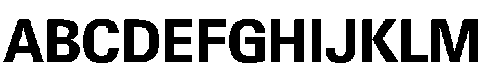 PPNeueGstaadCompact CompactBold Instance Font UPPERCASE
