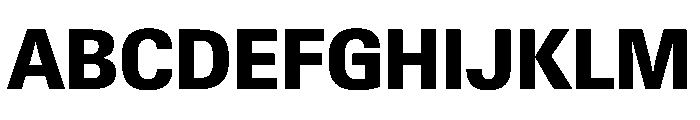 PPNeueGstaadCompact CompactExtrabold Instance Font UPPERCASE