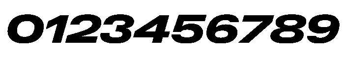 PPNeueGstaadExpanded ExpandedBlackItalic Instance Font OTHER CHARS