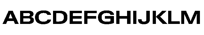 PPNeueGstaadExpanded ExpandedBold Instance Font UPPERCASE