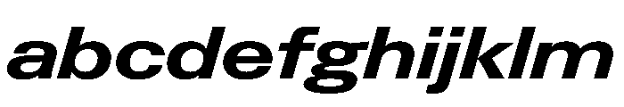 PPNeueGstaadExpanded ExpandedBoldItalic Instance FONT