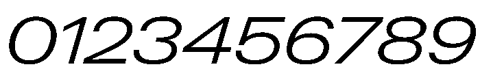 PPNeueGstaadExpanded ExpandedLightItalic Instance Font OTHER CHARS