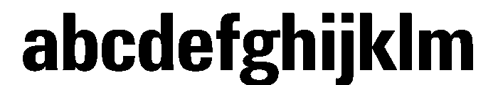 PPNeueGstaadNarrow NarrowBold Instance FONT