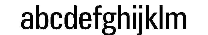 PPNeueGstaadNarrow NarrowRegular Instance FONT