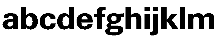 PPNeueGstaadNormal Bold Instance FONT