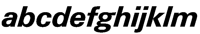 PPNeueGstaadNormal BoldItalic Instance FONT