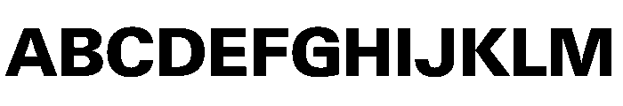 PPNeueGstaadNormal Extrabold Instance Font UPPERCASE