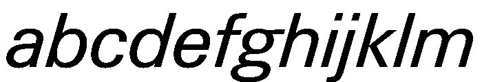 PPNeueGstaadNormal RegularItalic Instance FONT