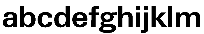 PPNeueGstaadNormal Semibold Instance FONT