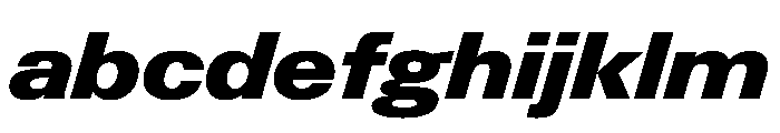 PPNeueGstaadWide WideBlackItalic Instance FONT