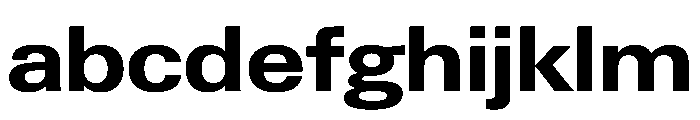 PPNeueGstaadWide WideBold Instance FONT