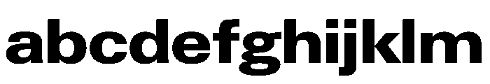 PPNeueGstaadWide WideExtrabold Instance FONT