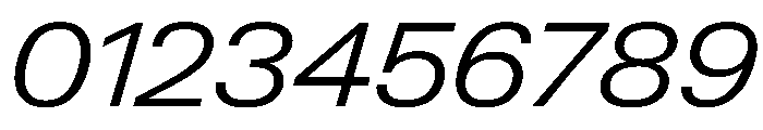 PPNeueGstaadWide WideLightItalic Instance Font OTHER CHARS