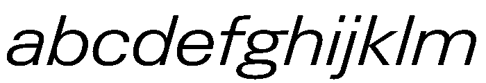 PPNeueGstaadWide WideLightItalic Instance FONT