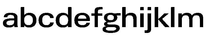 PPNeueGstaadWide WideMedium Instance FONT