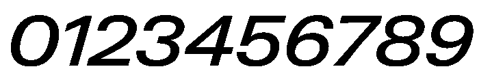 PPNeueGstaadWide WideMediumItalic Instance Font OTHER CHARS
