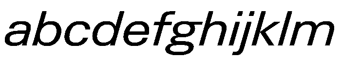 PPNeueGstaadWide WideRegularItalic Instance FONT