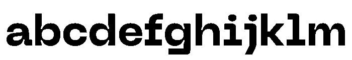 PPNeueMachina InktrapBold Instance FONT