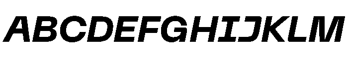 PPNeueMachina PlainBoldItalic Instance Font UPPERCASE