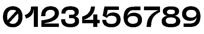 PPNeueMachina PlainSemibold Instance Font OTHER CHARS