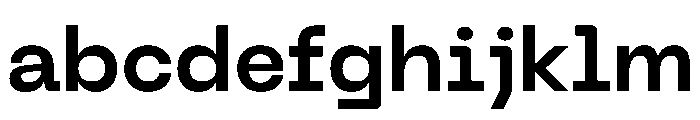 PPNeueMachina PlainSemibold Instance FONT