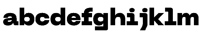 PPNeueMachinaPlain Black Instance FONT